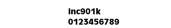 Fuente Inc901k.ttf