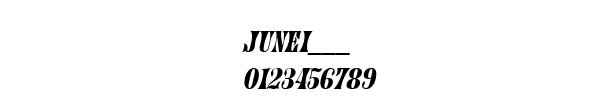 Fuente JUNEI___.TTF