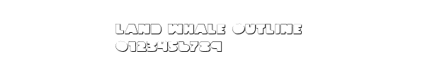 Fuente Land Whale Outline.ttf