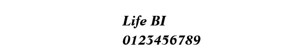 Fuente Life BI.ttf