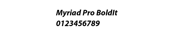 Fuente Myriad Pro BoldIt.ttf