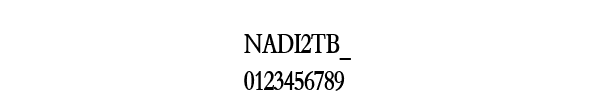 Fuente NADI2TB_.TTF