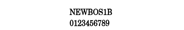 Fuente NEWBOS1B.TTF