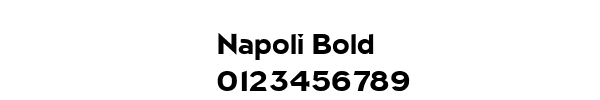 Fuente Napoli Bold.ttf