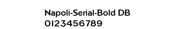 Fuente Napoli-Serial-Bold DB.ttf