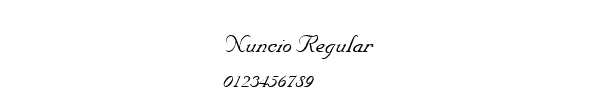 Fuente Nuncio Regular.ttf