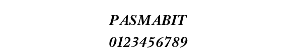 Fuente PASMABIT.TTF