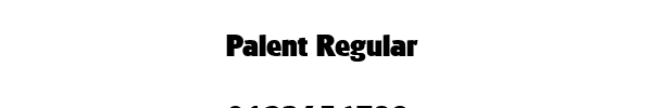 Fuente Palent Regular.ttf