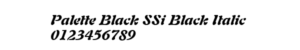 Fuente Palette Black SSi Black Italic.ttf