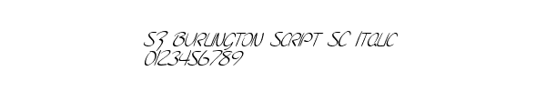 Fuente SF Burlington Script SC Italic.ttf