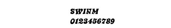 Fuente SWINM.TTF