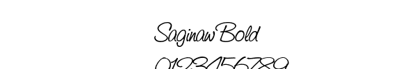 Fuente Saginaw Bold.ttf