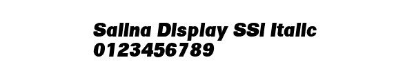Fuente Salina Display SSi Italic.ttf