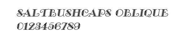Fuente Saltbushcaps Oblique.ttf
