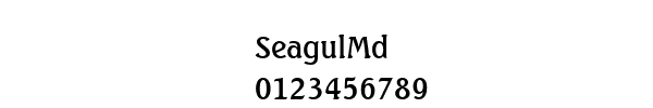 Fuente SeagulMd.ttf