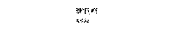Fuente Skinner Aoe.ttf