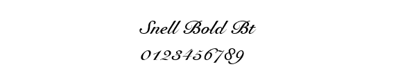 Fuente Snell Bold Bt.ttf