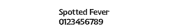 Fuente Spotted Fever.ttf
