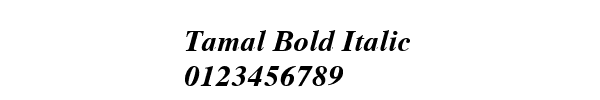Fuente Tamal Bold Italic.ttf