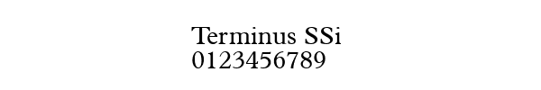 Fuente Terminus SSi.ttf