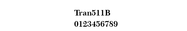 Fuente Tran511B.ttf