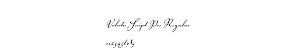 Fuente Voluta Script Pro Regular.ttf
