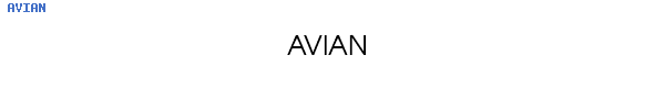 Fuente AVIAN.TTF