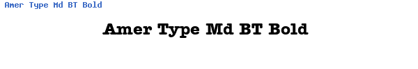 Fuente Amer Type Md BT Bold.ttf