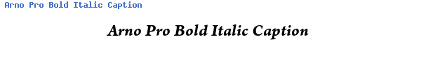 Fuente Arno Pro Bold Italic Caption.ttf
