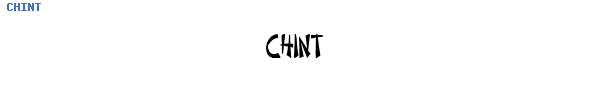 Fuente CHINT.TTF