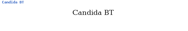 Fuente Candida BT.ttf