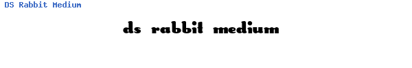 Fuente DS Rabbit Medium.ttf