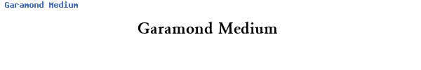 Fuente Garamond Medium.ttf