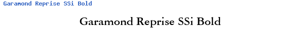 Fuente Garamond Reprise SSi Bold.ttf