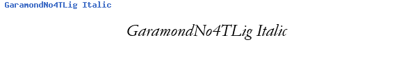 Fuente GaramondNo4TLig Italic.ttf