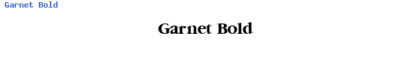 Fuente Garnet Bold.ttf