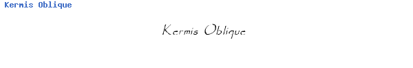 Fuente Kermis Oblique.ttf