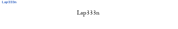 Fuente Lap333n.ttf