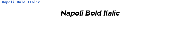 Fuente Napoli Bold Italic.ttf