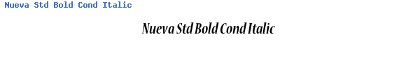 Fuente Nueva Std Bold Cond Italic.ttf