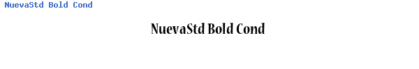 Fuente NuevaStd Bold Cond.ttf