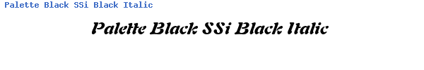 Fuente Palette Black SSi Black Italic.ttf