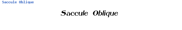 Fuente Saccule Oblique.ttf