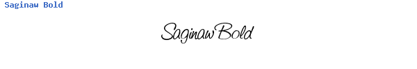 Fuente Saginaw Bold.ttf
