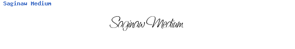Fuente Saginaw Medium.ttf