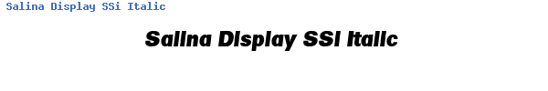 Fuente Salina Display SSi Italic.ttf