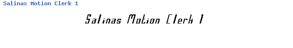 Fuente Salinas Motion Clerk 1.ttf