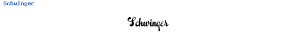 Fuente Schwinger.ttf