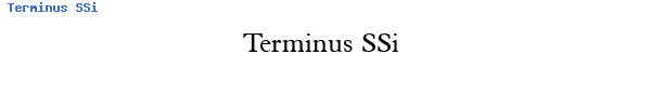 Fuente Terminus SSi.ttf