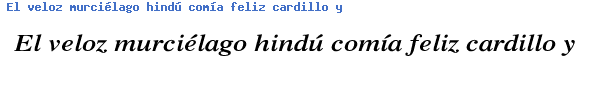 Fuente Xerox Serif Wide Bold Italic.ttf
